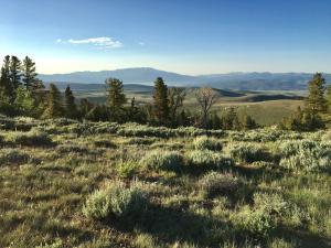 photo a popular dispersed camping spot 