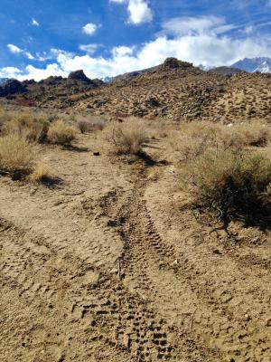 photo of illegal off-road trail by Margy Marshall