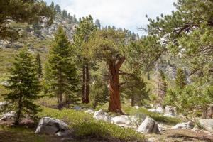 photo of Solitude Canyon by Sam Roberts