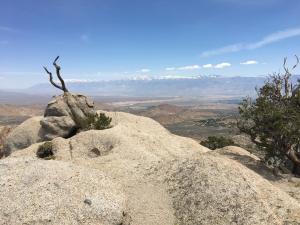 photo of the view from Wilson's Point