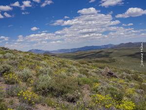 photo looking NE from Bodie Peak