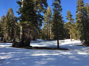 photo of unused area within Wooly's SUP 