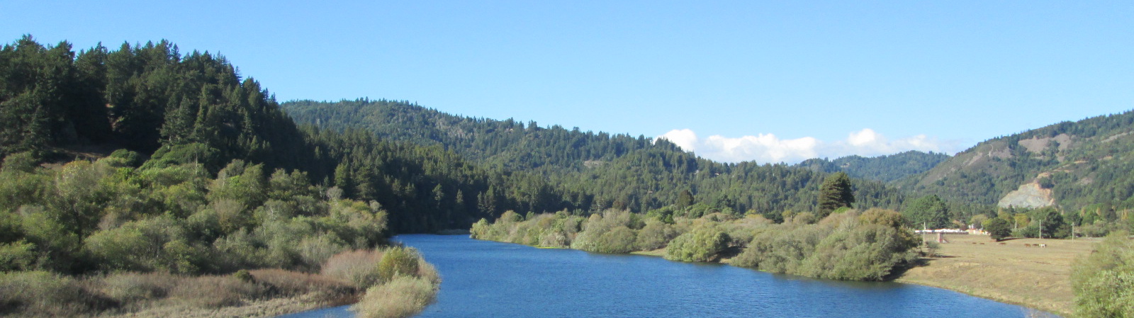 Russian River