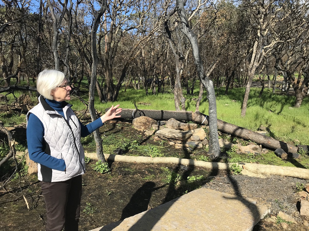 Santa Rosa Couple Embraces Fire Resistant Materials to Rebuild Home