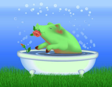 greenwash
