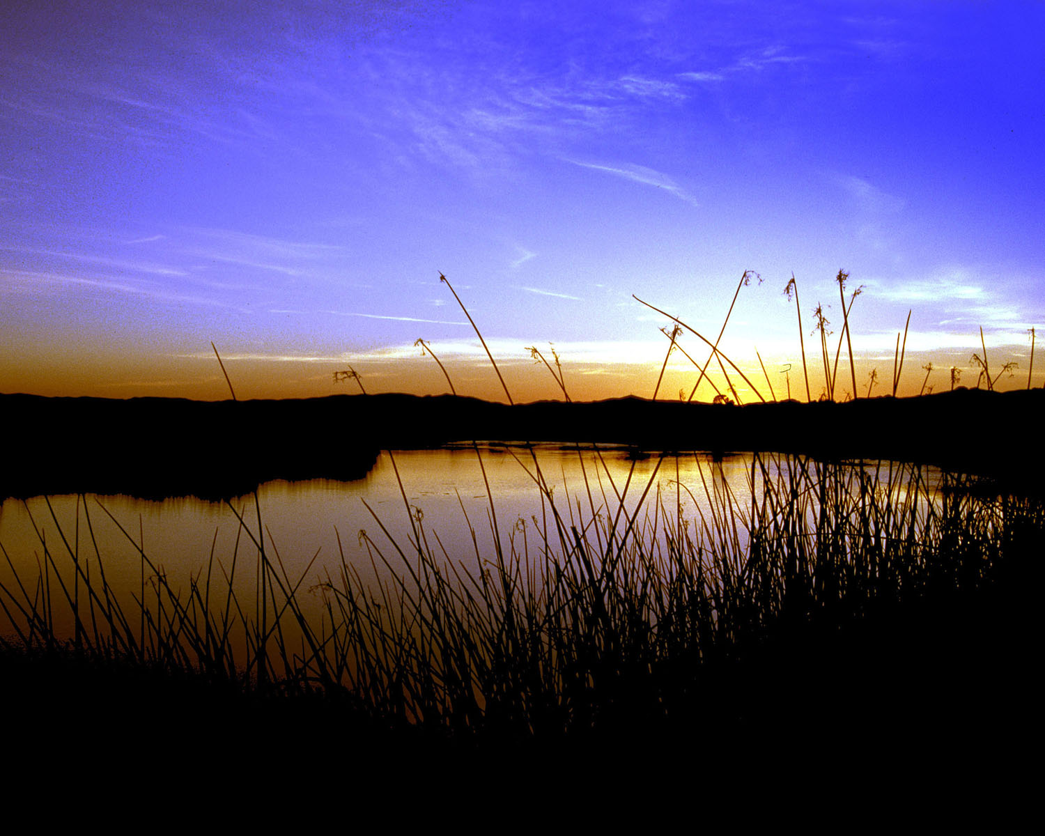 Sunset at Suisun Marsh