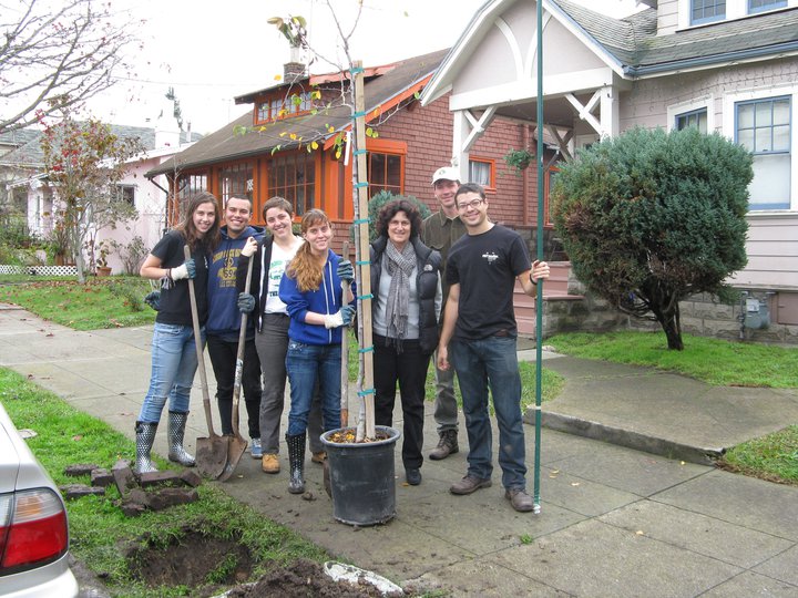 Bay Chapter tree-planting team in Oakland.