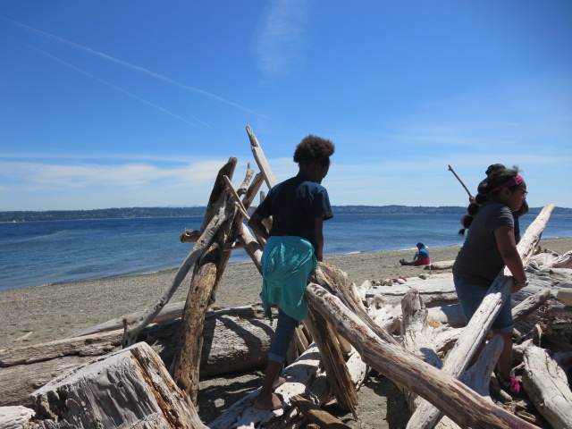 Building a beach shelter from driftwood
