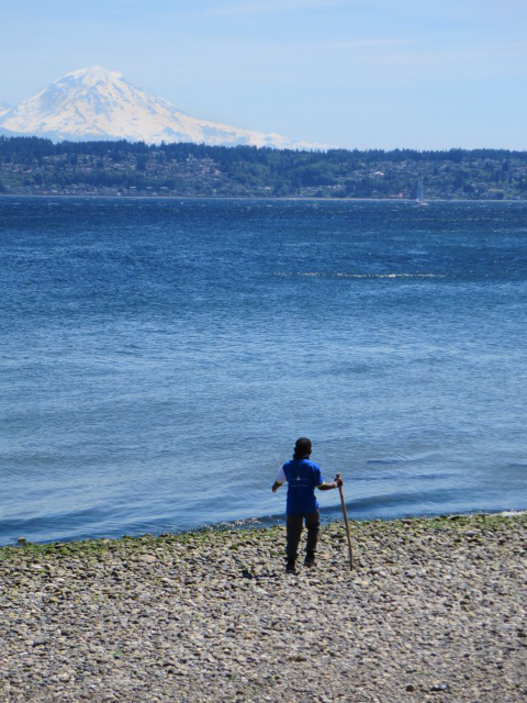 Beach on Vashon Island