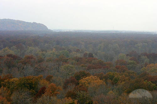 Landscape photo of the shawnee forest in the fall
