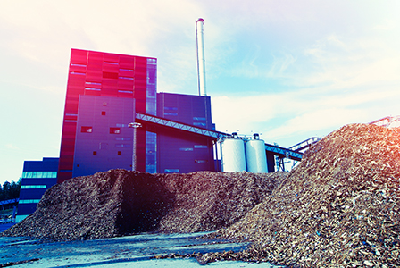 Biomass facillity