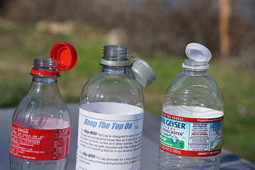 Proposed bottle cap design