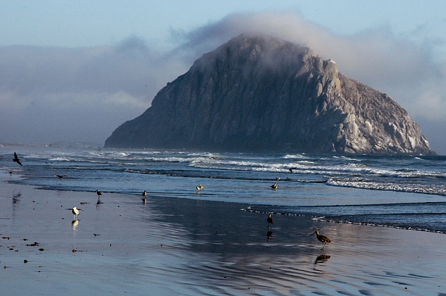 600-foot rock at the edge of the sea with a marine layer of fog coming over the top