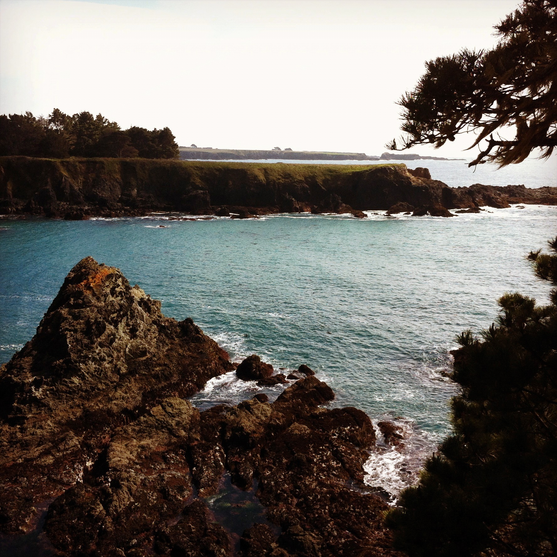 Turquoise ocean bay below green cliffs