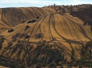ORV Trails on steep hillsides