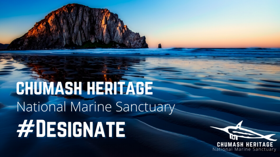 SCC summit photo with Dan Chu.png