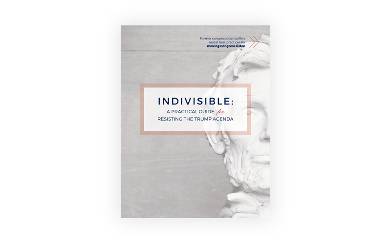 Cover of the Indivisible Guide