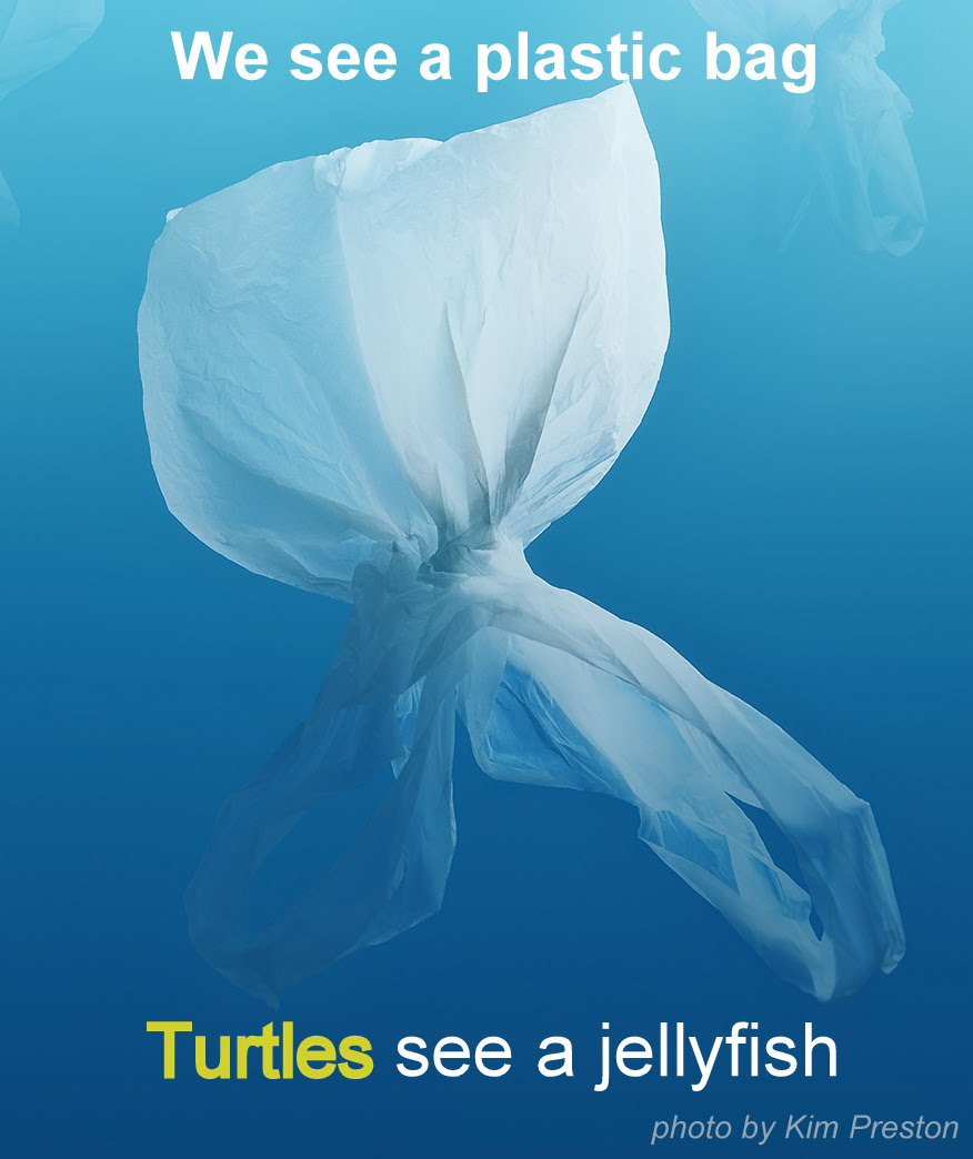 White plastic bag floating upside down in bright blue water