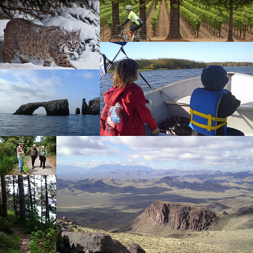 2013 collage of photos