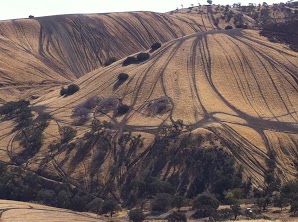 Steep hills of grass scarred with many dirt trails