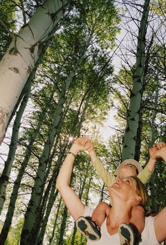 Mother with child on shoulders looking up into trees