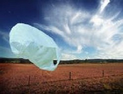 Plastic bag on the wind