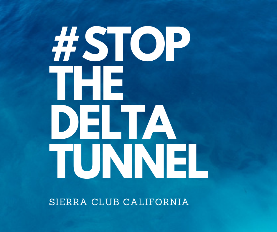 Stop the Delta Tunnel graphic