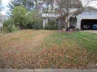 natalie's lawn contrast