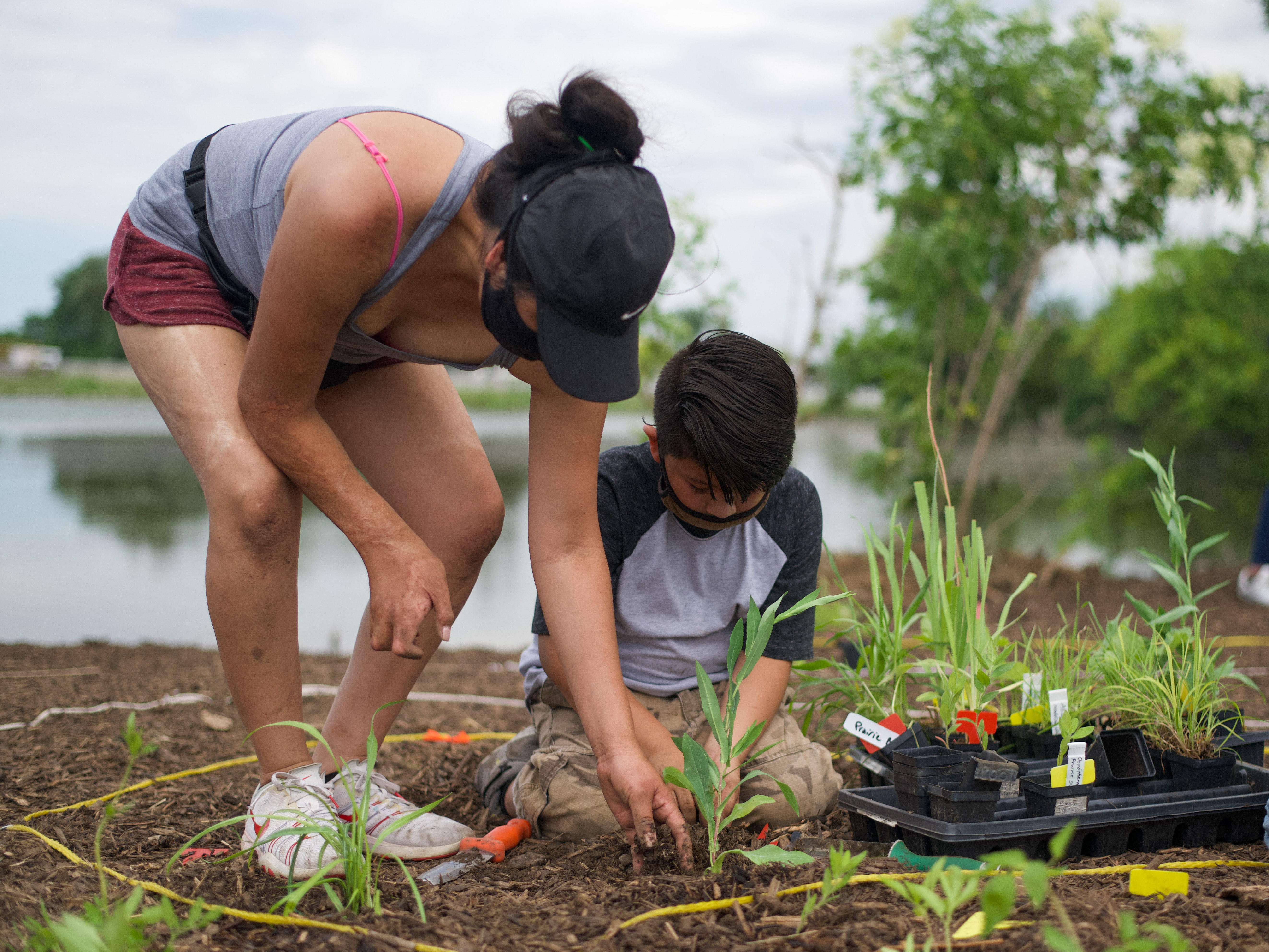 McHenry County pollinator garden-1