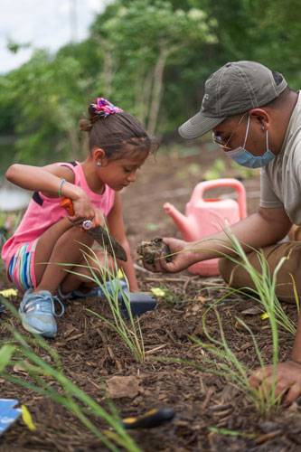 McHenry County pollinator garden-2