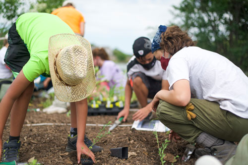 McHenry County pollinator garden-4