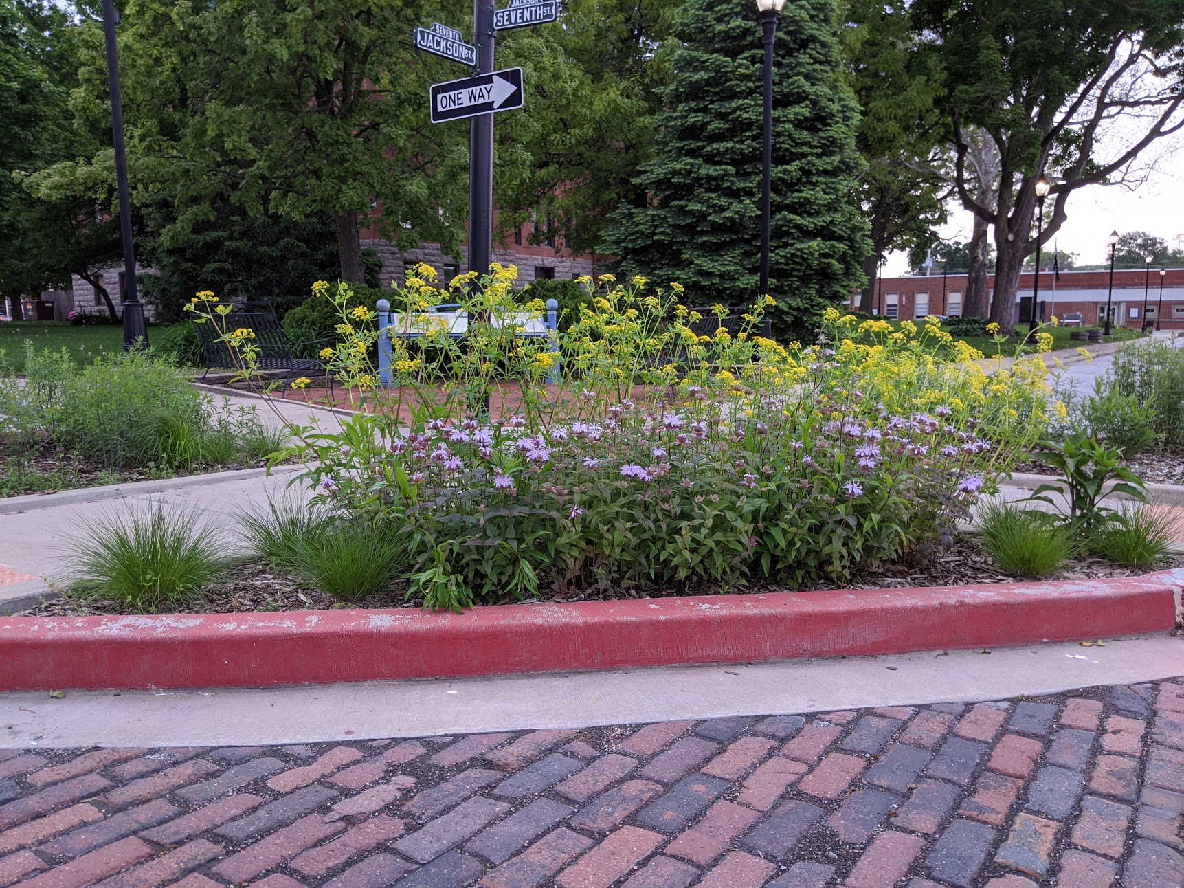 Petersburg Square pollinator beds