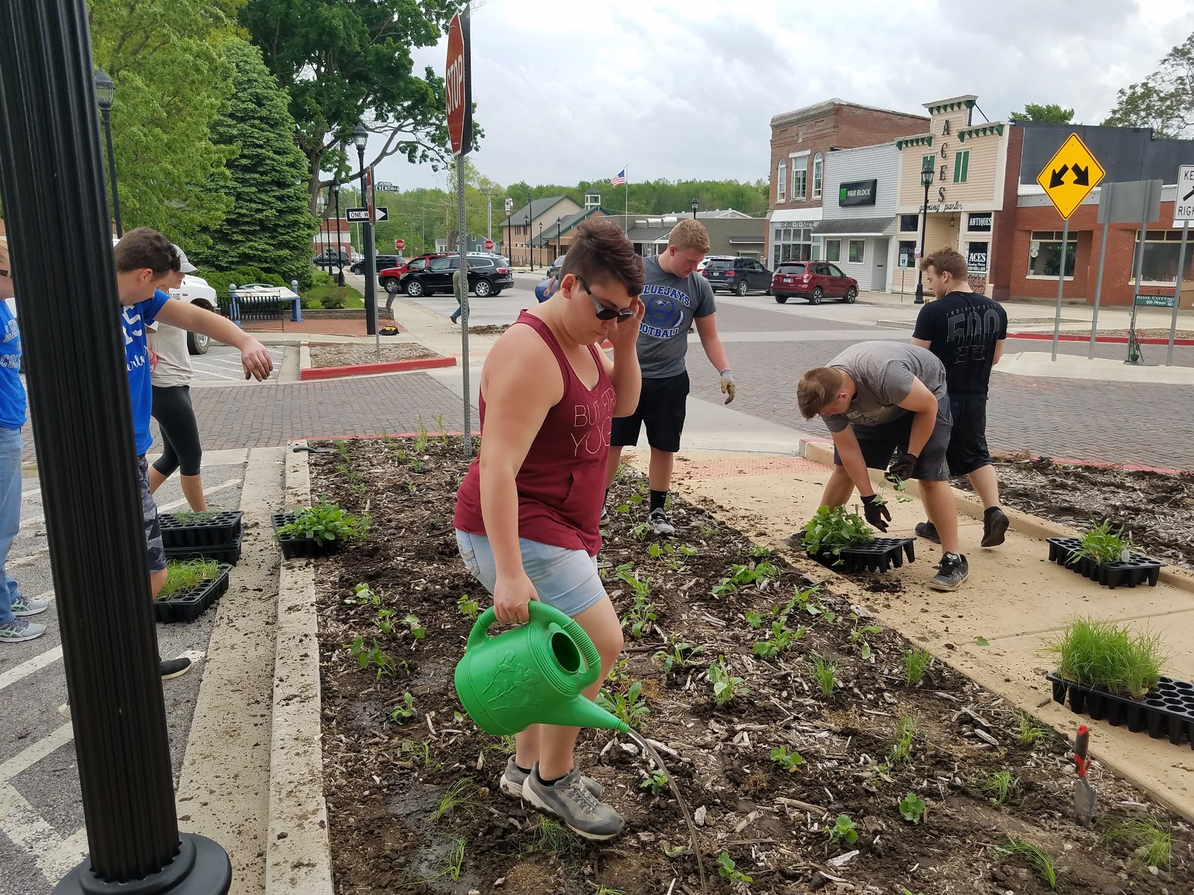 Volunteers planting