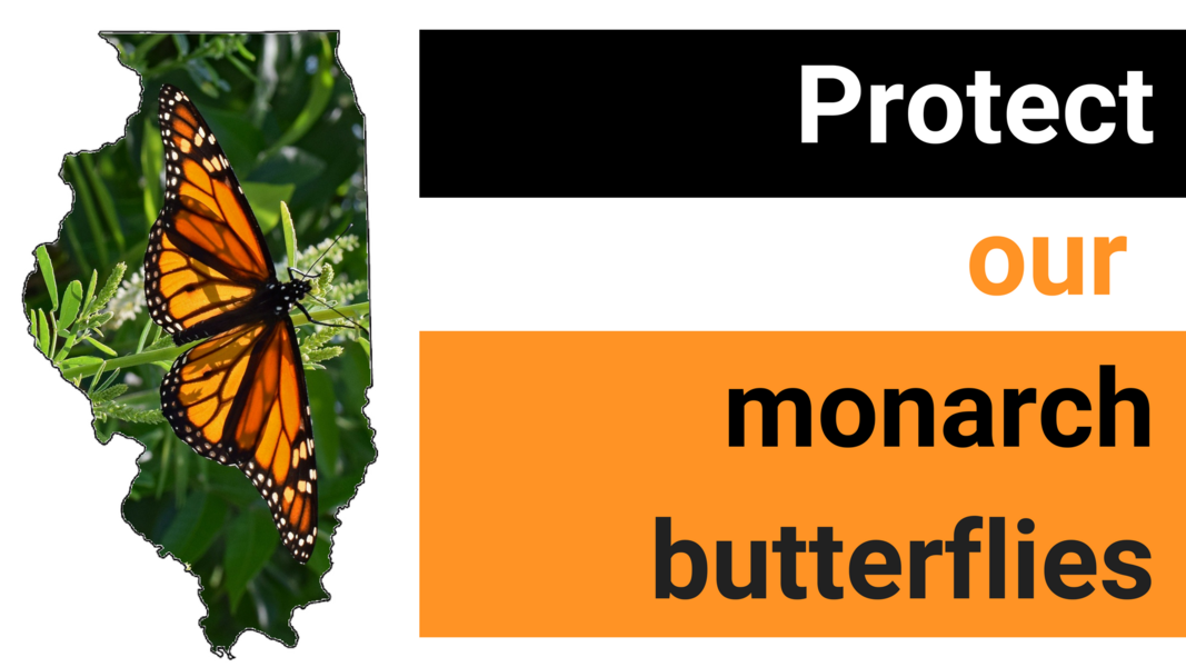 protect monarchs