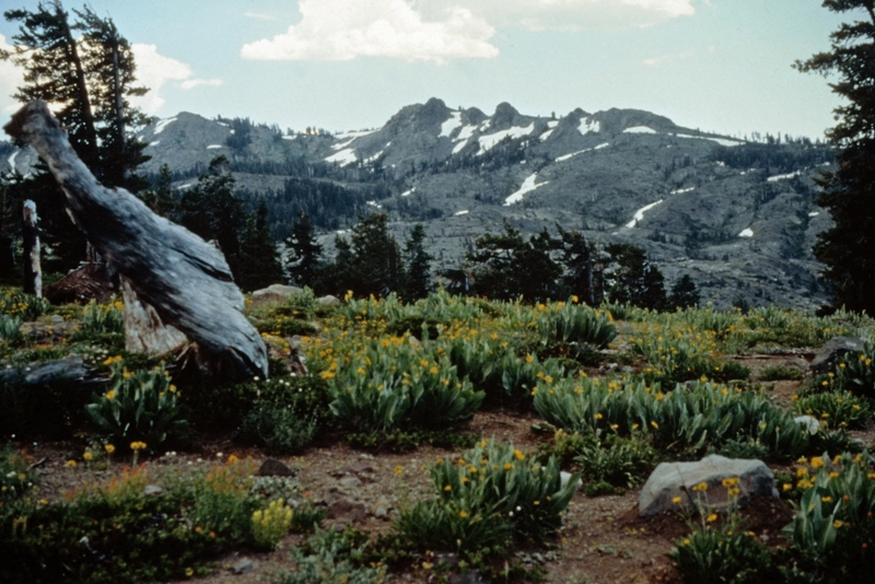 Black Buttes
