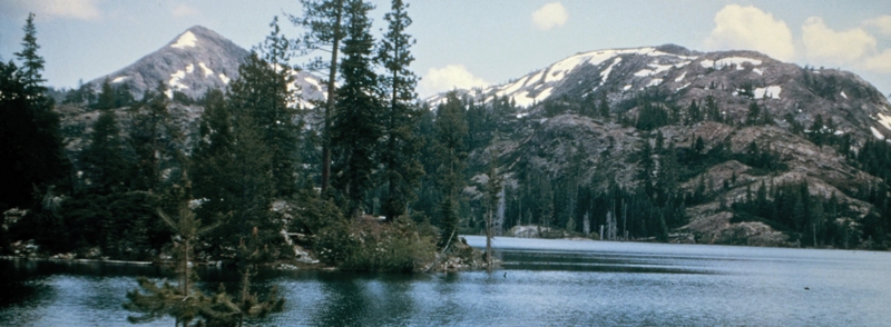 Sawmill Lake