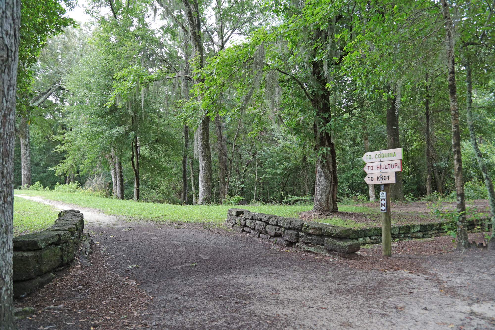Poinsett State Park waterfall