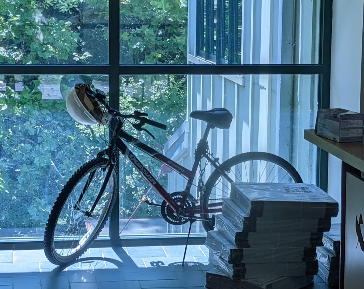 Bill's Bike