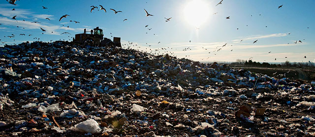 landfill