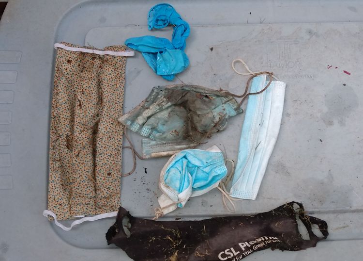 Facemasks collected in a litter pick-up