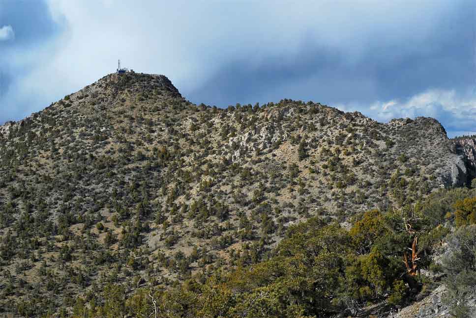 Summit of Mt Irish view from the south