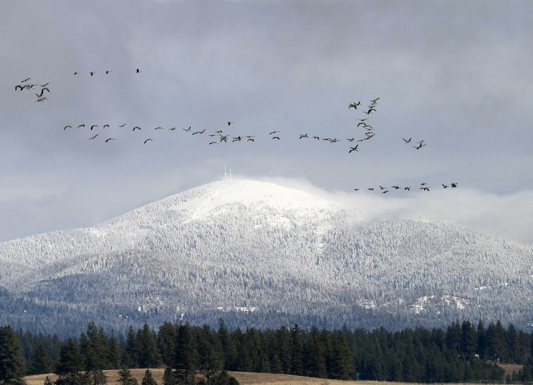 Save Mt Spokane Save Mt Spokane