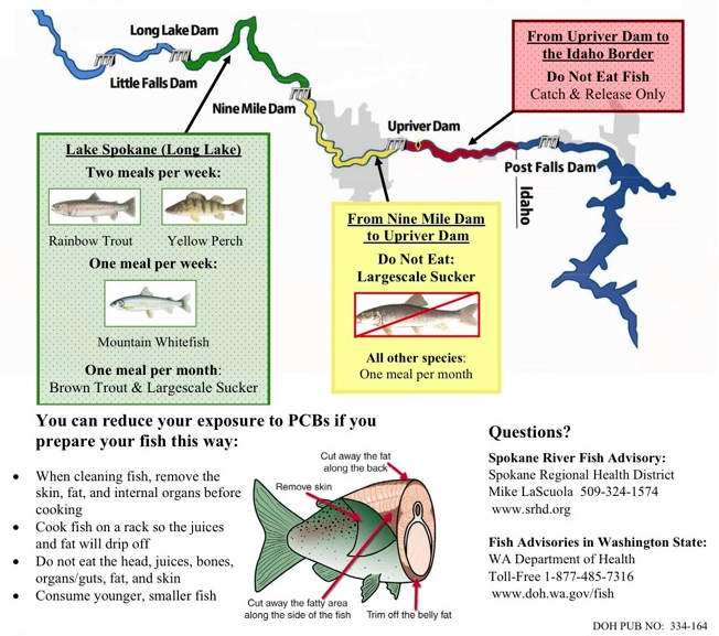 Saving the Spokane River