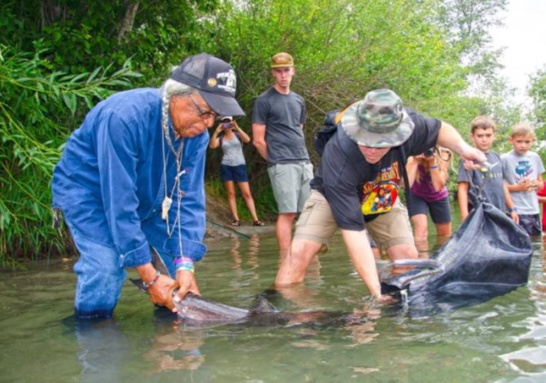 Cultural Release of Chinook Salmon into the Little Spokane River