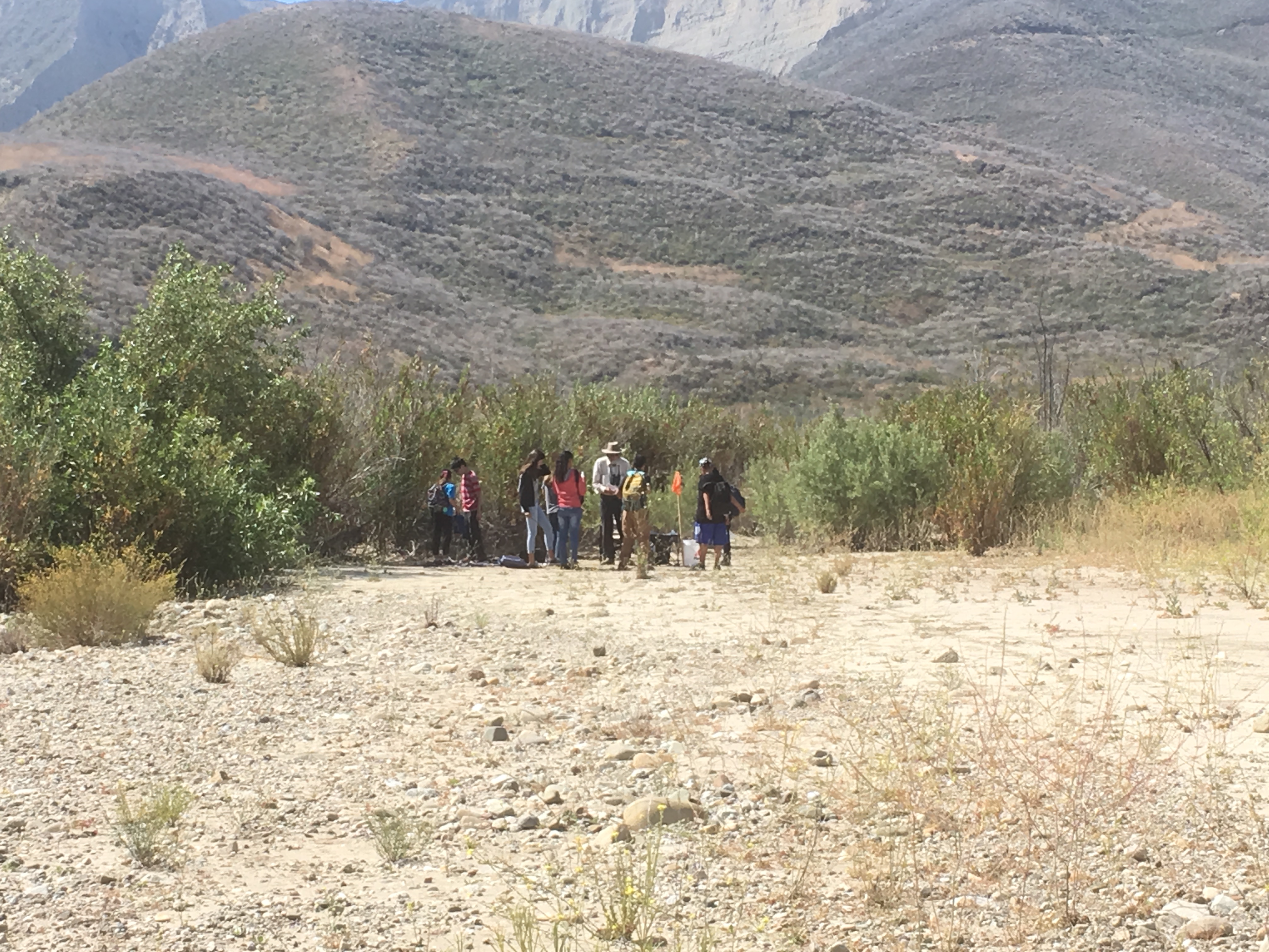 A group of volunteers in a dry river bed