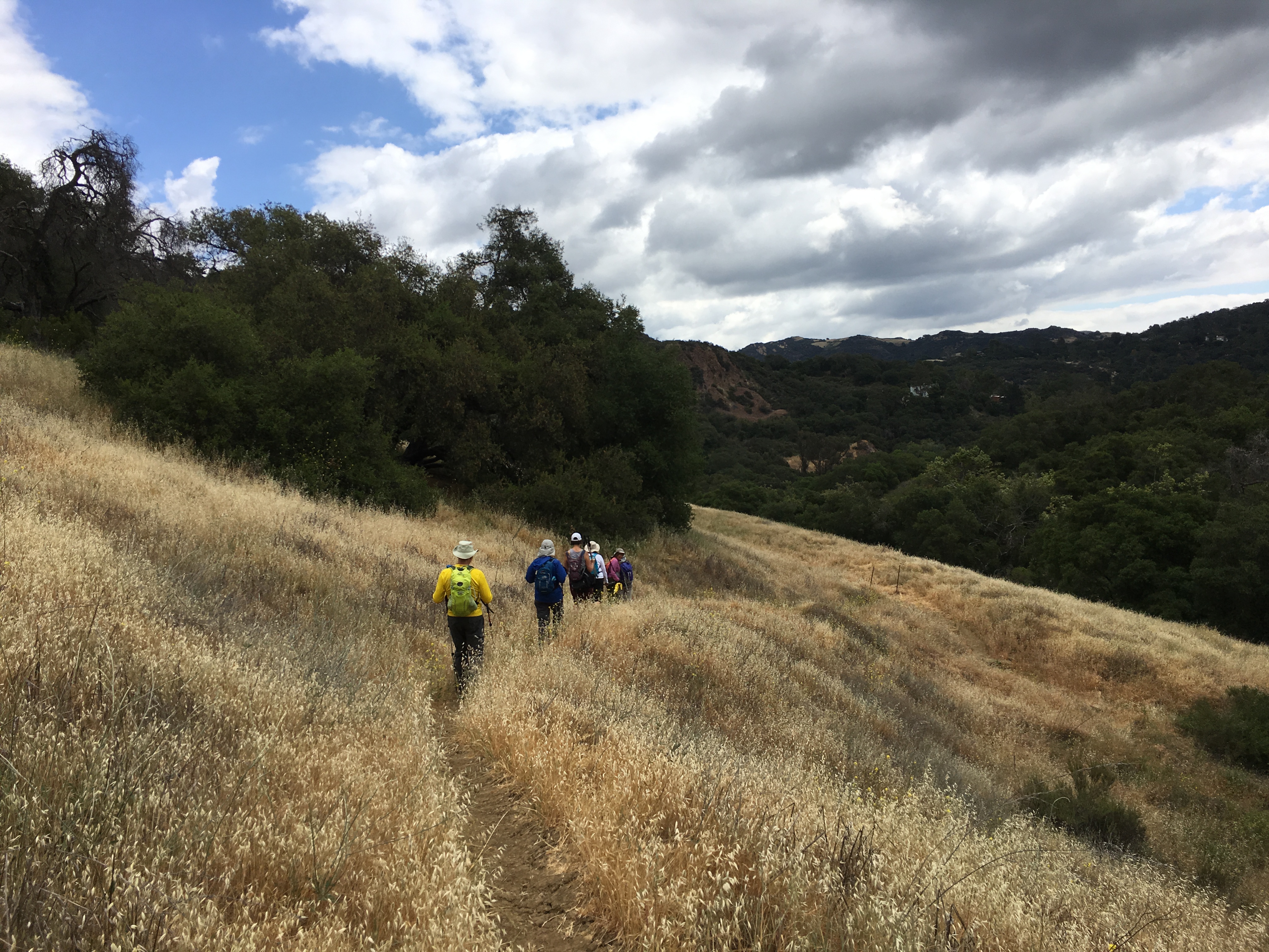 View of a large field