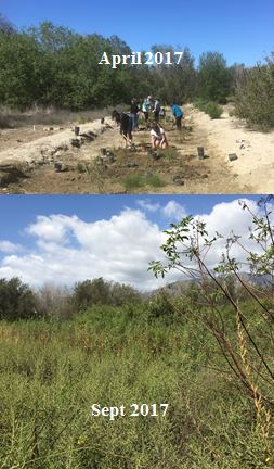 Comparison between April and September 2017 at HRNA