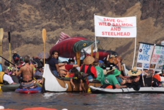 Flotilla.jpg 4th Annual Snake River Flotilla