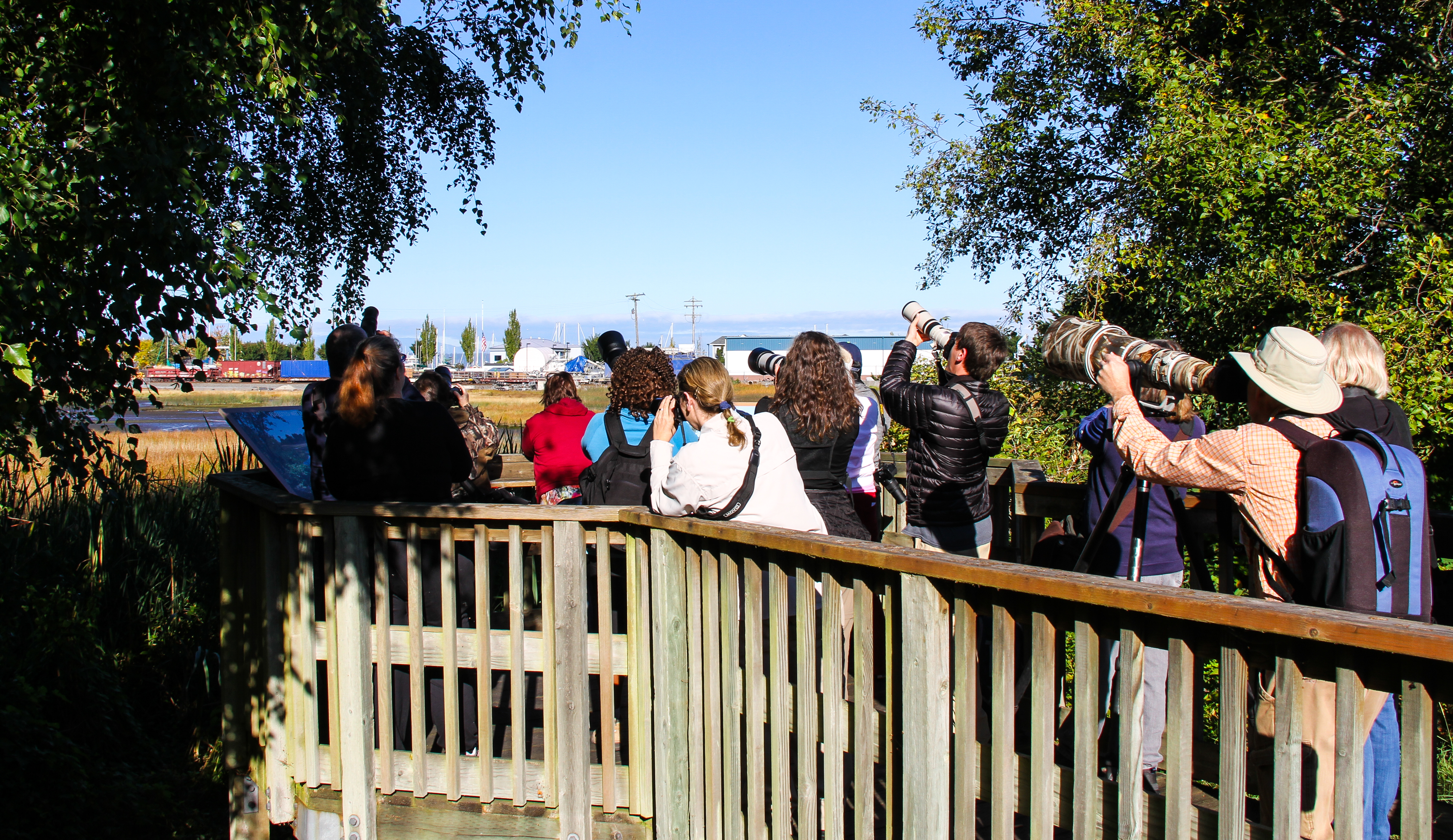 Birders at marsh