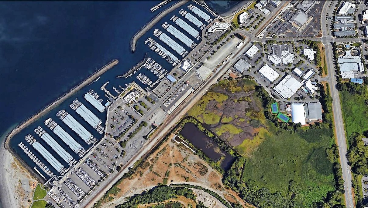 Marsh and marina
